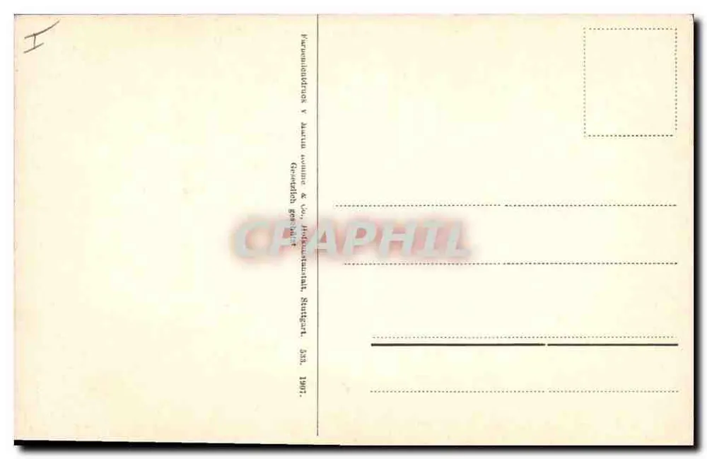 Rosier — flor aberta e botões — editor Hermann Holzrichter, Stuttgart - Verso