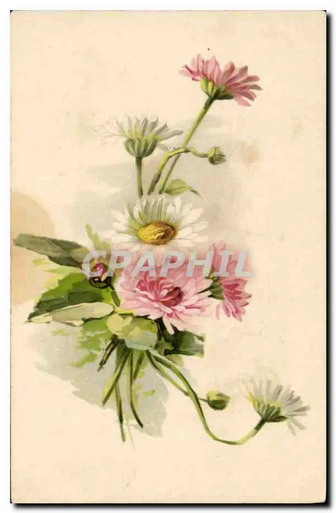 Arranjo de flores — desenho em aquarela — sem editor ou número visível - Frente