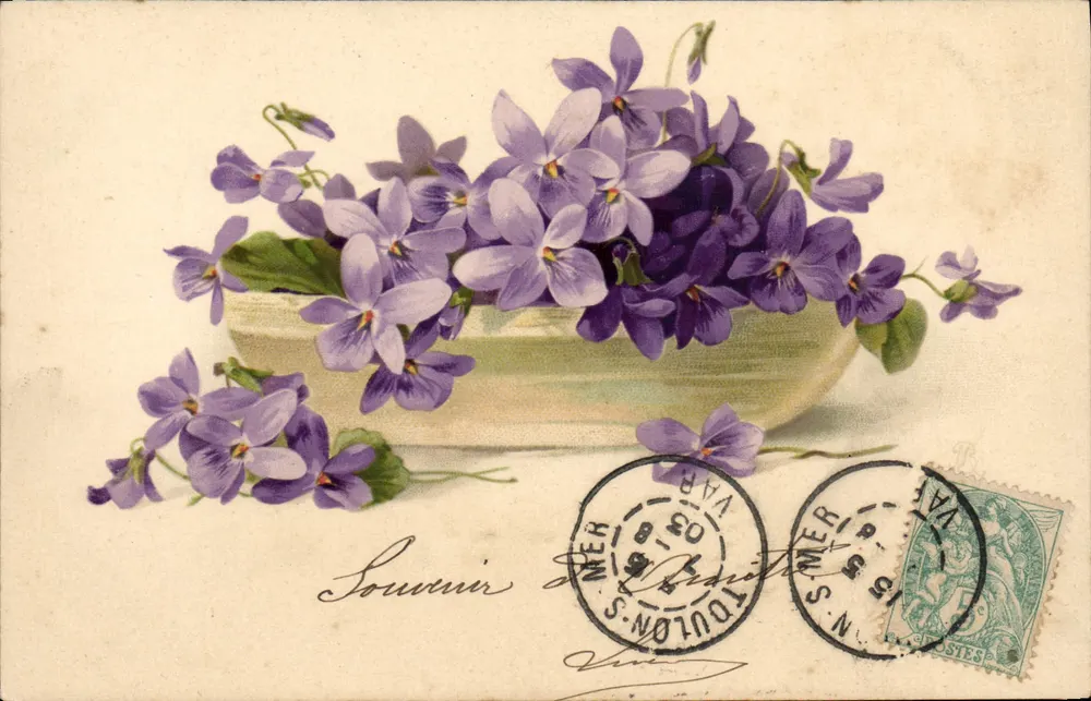Violetas — lembrança — Toulon, Var - Frente