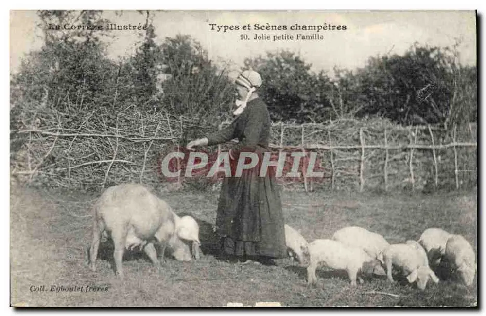 Frau mit einer Schafsfamilie — Typen und ländliche Szenen, n°10 — Coll. Ebboulet Brüder - Vorderseite