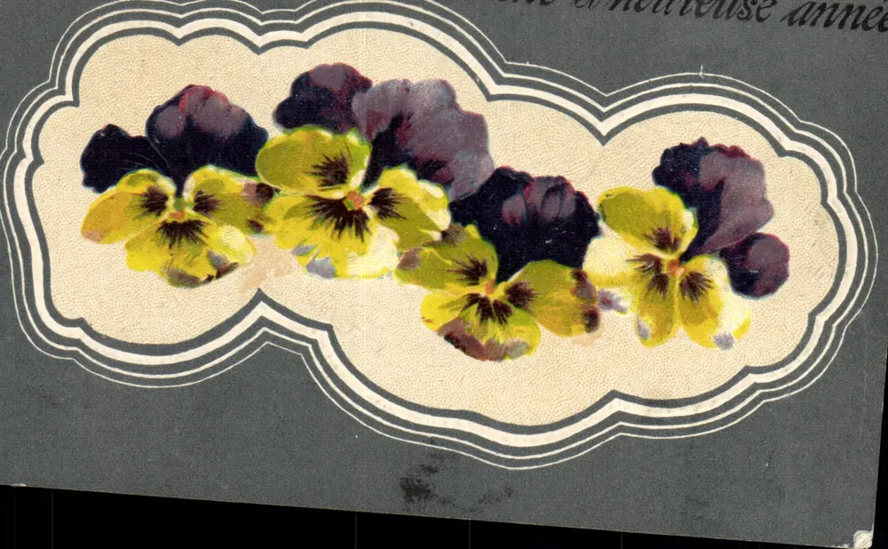Pansées — bouquet coloré dans cadre nuageux — éditeur non visible - Voorkant