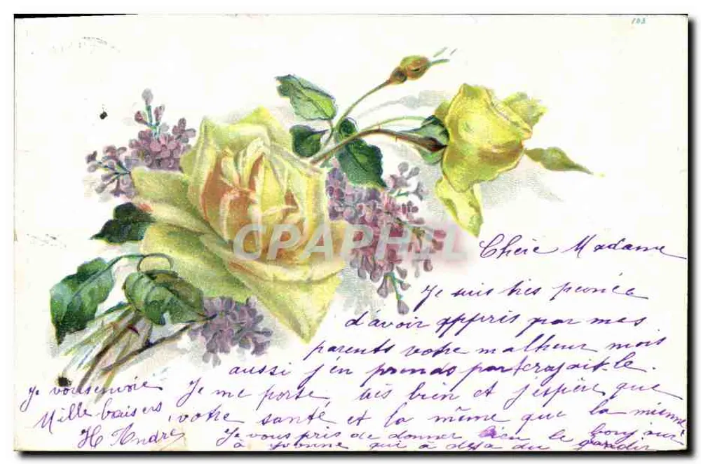 Flores — Rosa amarela e lavanda — Carta postal universal - Frente