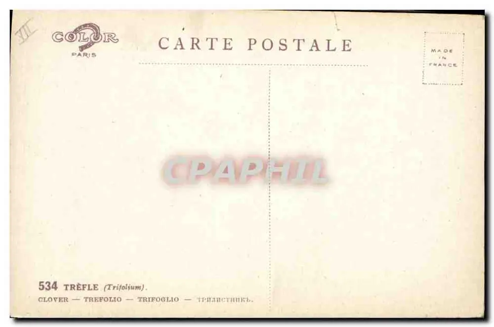 Vierblad — Trifolium — uitgever COLOR Paris, n° 534 - Achterkant