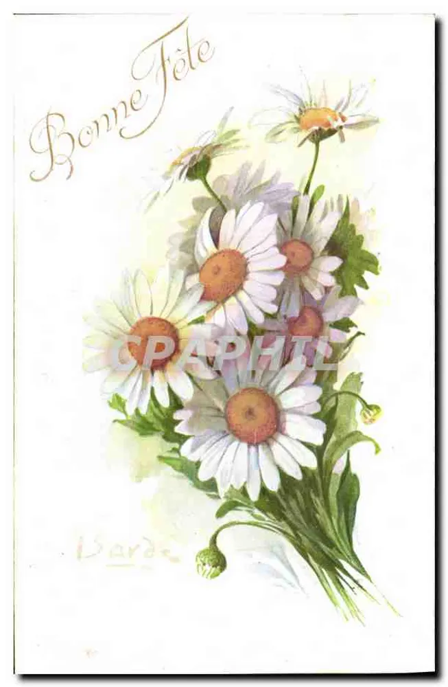 Bouquet van margrieten — Goede feestdag — Antieke ansichtkaart I COLOR PARIS n°552 - Voorkant