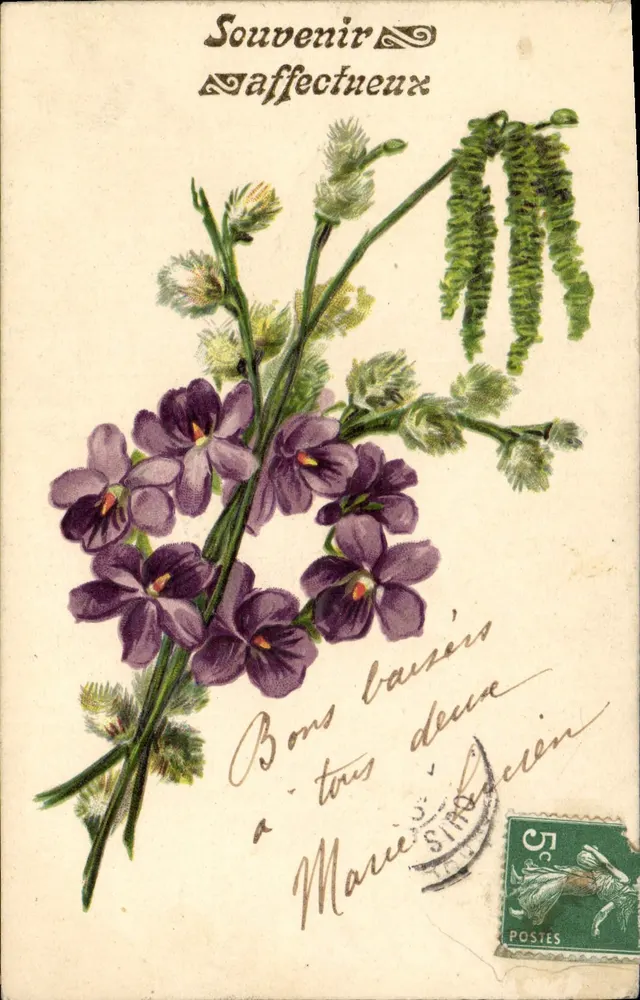 Mata de violetas e botões — Lembrança afetuosa — editor não visível - Frente