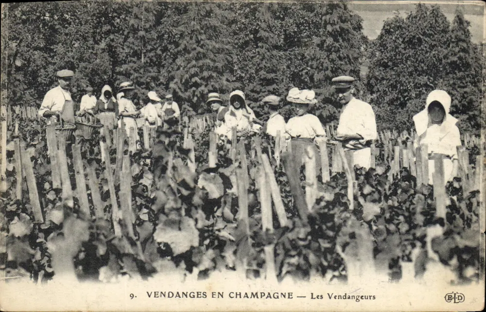Colheita na Champagne — Os Colhedores — BID - Frente