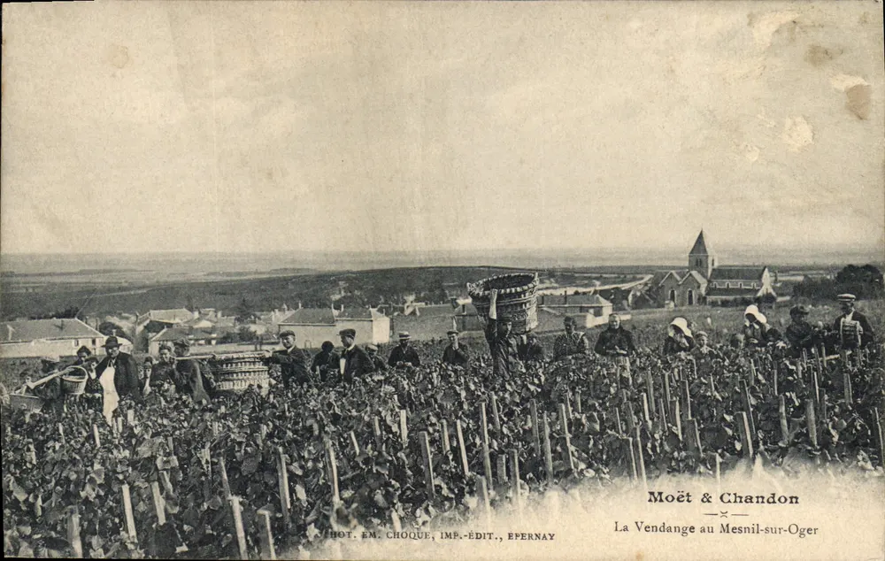 Die Weinlese im Mesnil-sur-Oger — Szenen der Weinlese in den Weinbergen mit einer Kirche im Hintergrund — Verlag Moët & Chandon, gedruckt in Epernay - Vorderseite