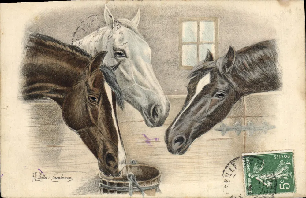 飲みながらの三頭の馬 — 描画 — F. Colla & Cagalanura - 表面