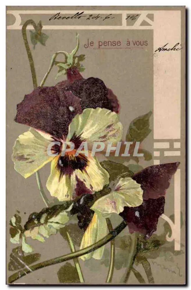 Pansées — cartão postal de Revellé — editor Cartolina Postale - Frente