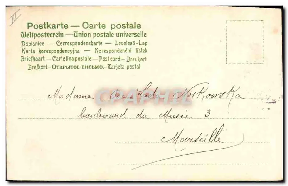Flores de papoula — ilustração — editor não visível - Verso
