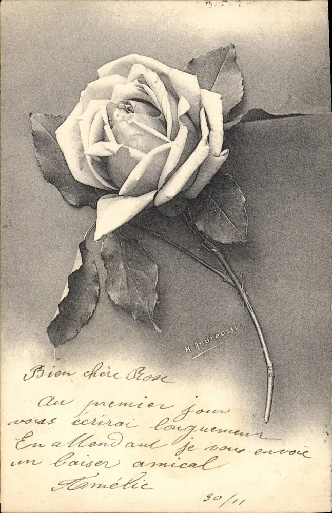 Róża — kartka pocztowa z ręcznym wiadomościem — M. Andreossi, n° 80/11 - Awers