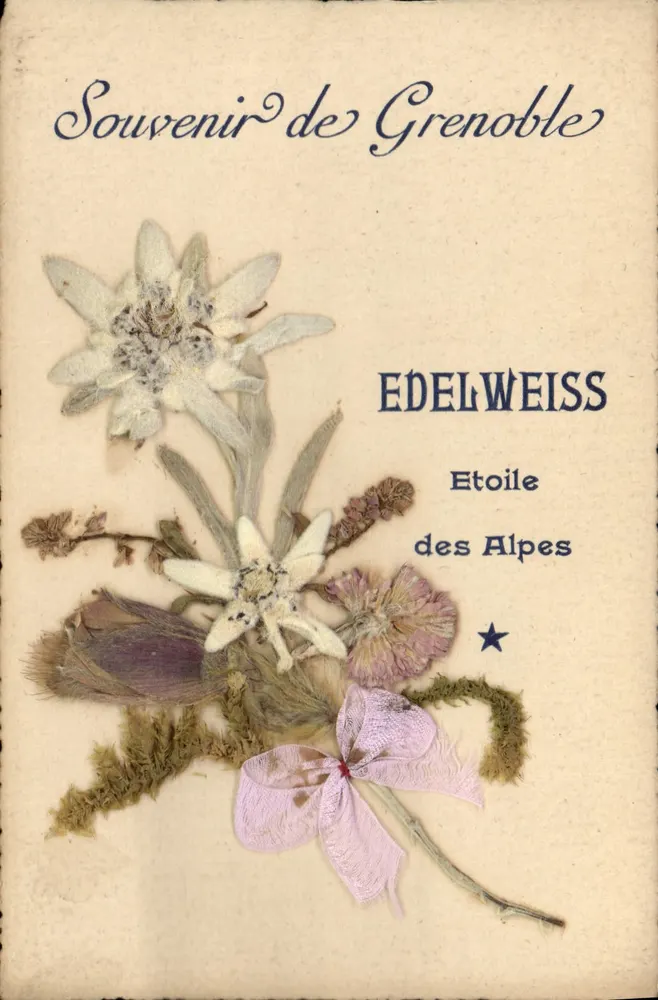 Erinnerung an Grenoble — Edelweiss, Stern der Alpen — Verlag nicht sichtbar - Vorderseite