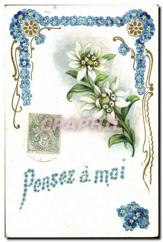 Flores de Edelweiss e de pensamentos — G.B. Paris — número de série não visível - Frente