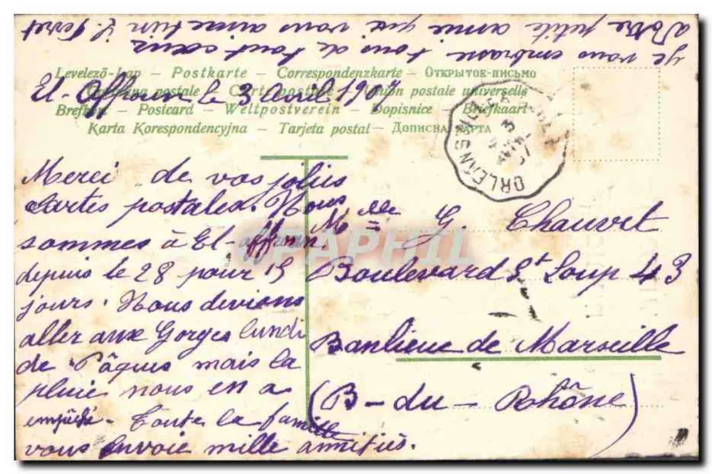 Violetas — Doação do Coração — Editor não visível - Verso