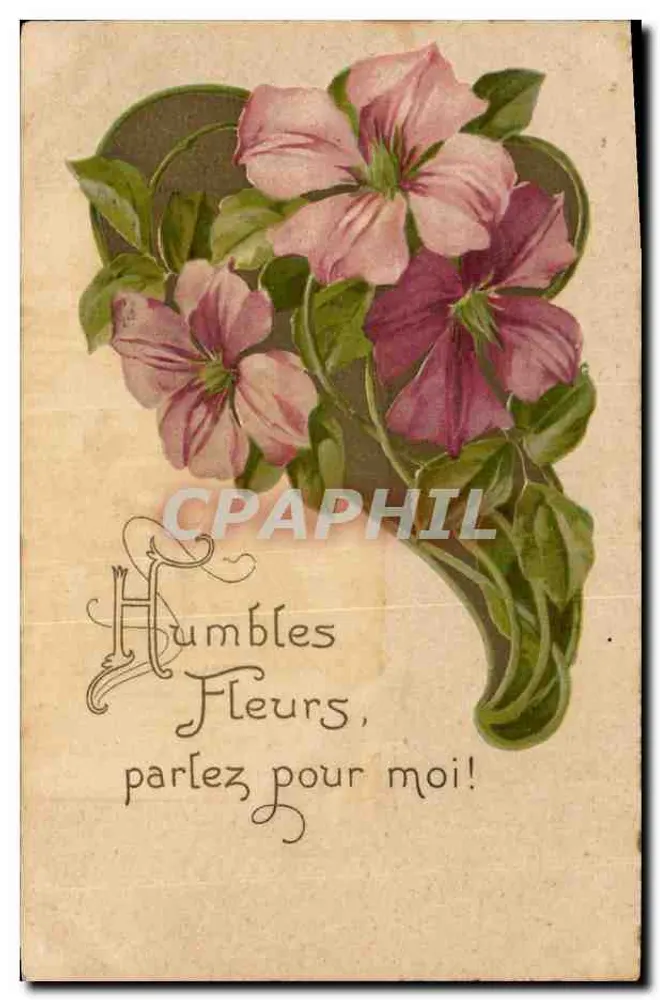Flores humildes, falem por mim! — carta postal ilustrada com flores rosas e violetas — editor não visível - Frente