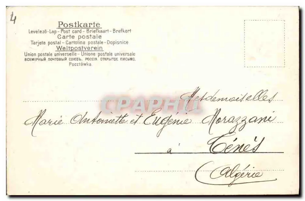 Flores de margaridas — Calédonia, 14 de agosto de 1907 — editor não identificado, n° de série 4 - Verso