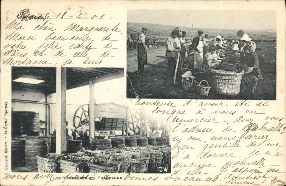 Les Vendanges en Champagne — scène de récolte et cave — C. Bonnard, libraire, Epernay - Frente