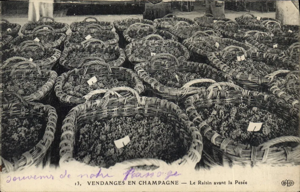 Ernte in Champagne — Der Traube vor der Wiege — Verlag E. Le Dey - Vorderseite