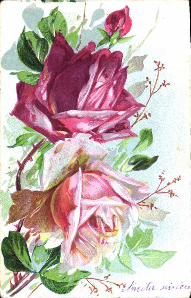 Rosace — Rosas vermelhas e rosas — Editada pela União Postal Universal - Frente