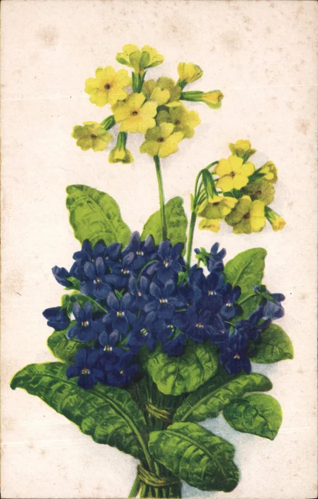 Buquê de primaveras amarelas e azuis — série de aquarelas — editor B, n° 4187 - Frente