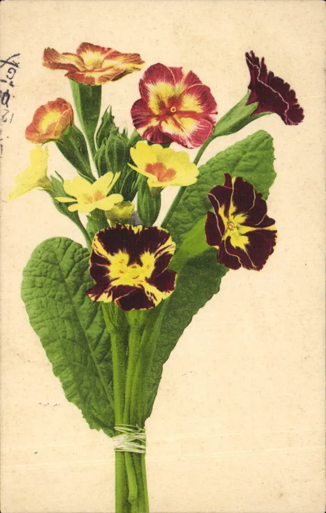 Arranjo de flores de primavera — editor E. P. & Cie, n° 45 - Frente