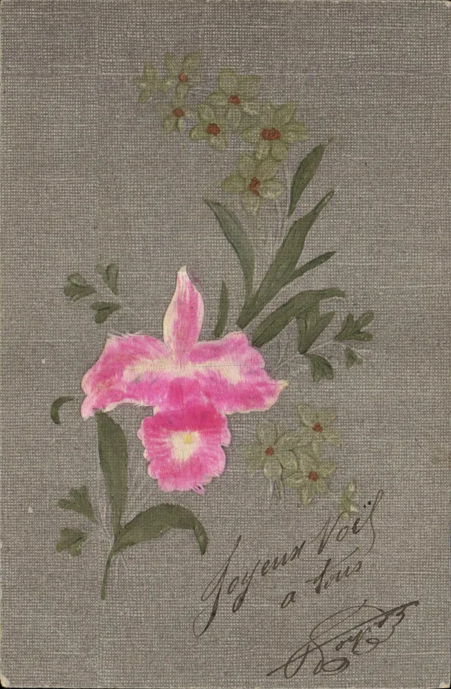 Kwiat orchidei — kartka pocztowa z życzeniami — wydawca nieznany - Awers