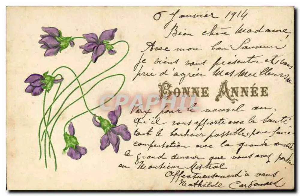 वाइओलेट्स — 1914 के वर्ष के लिए विशेष ईमेल कार्ड — एडिटर अदृश्य - आगे