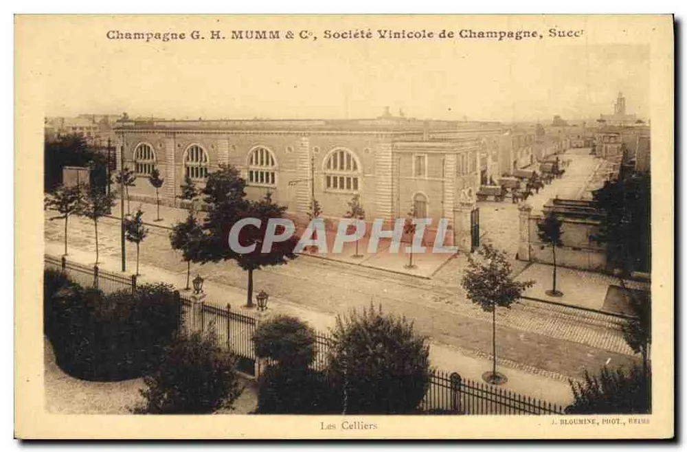 Os Celliers — Champagne G. H. MUMM & C°, Société Vinicole de Champagne, Succr — J. BLOUMINE, PIOT, HELMS - Frente