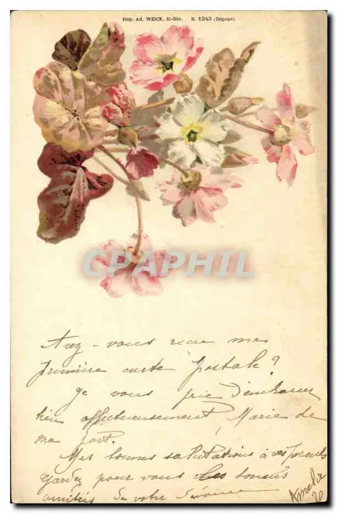 Flores de gerânio — Imp. Ad. WEICK, Ri-Bièr, N. 1243 (Depósito) - Frente