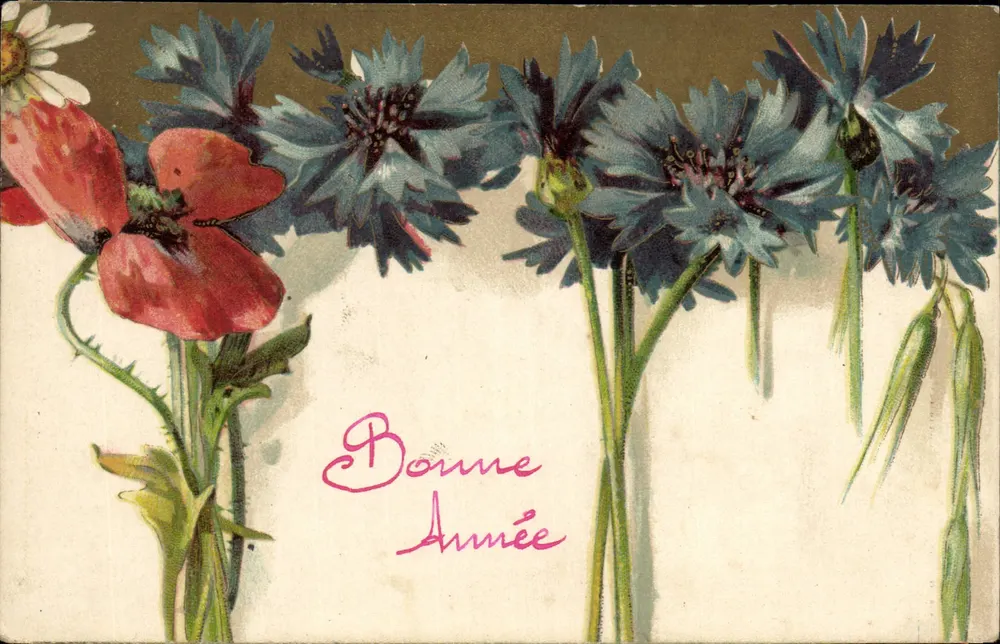 Bloemen — papaver, blauwe klok, margrieta — Goed jaar — K.F. Editeurs, Parijs, Serie 624 - Voorkant