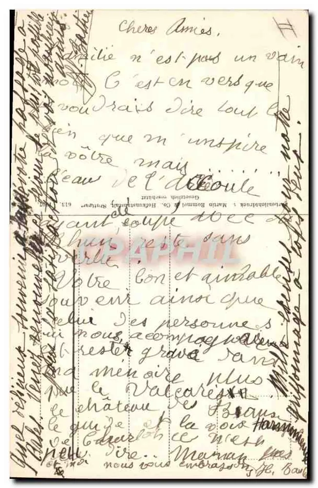 Flores — Narciso, tulipas e ranúnculos — Gesellschaft Martin Rommel & Co. Hohenhammel, Soutweg - Verso