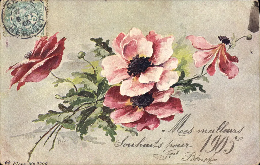 Bloemen — bloemstuk van peonies en anemonen — Flora No 7306 - Voorkant