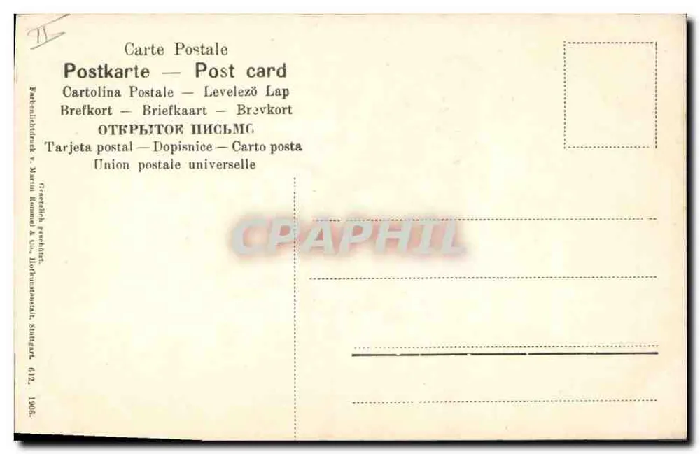 Buquê de margaridas — ilustração botânica — Union postale universelle, Stuttgart - Verso