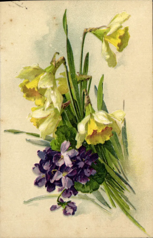 Arranjo de narcisos e violetas — ilustração — editor não visível - Frente