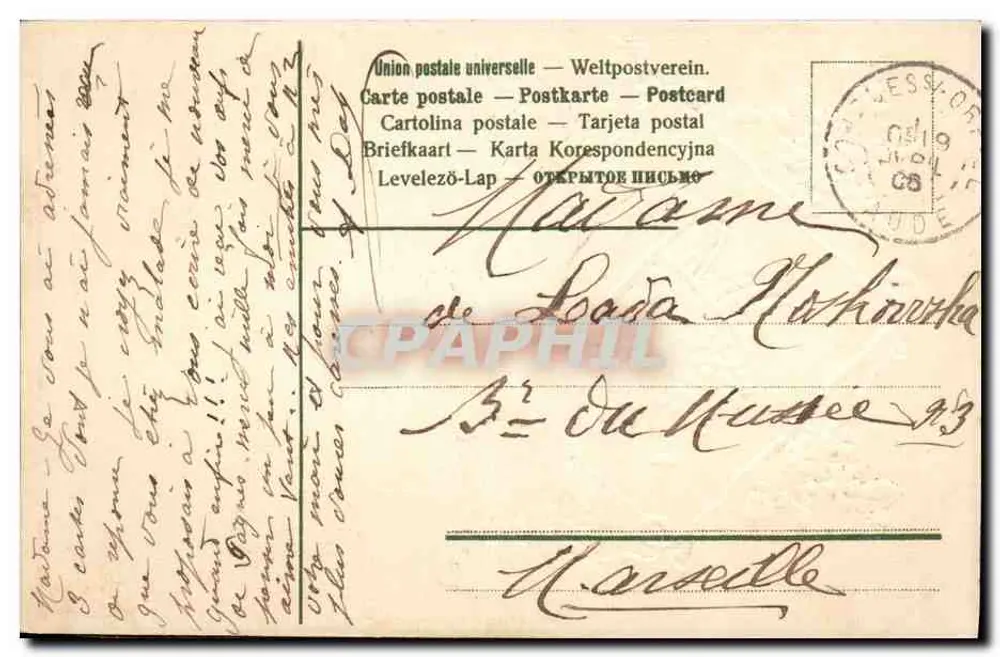 Buquê de flores azuis — Cesto de myosotis — Carte postale - Verso