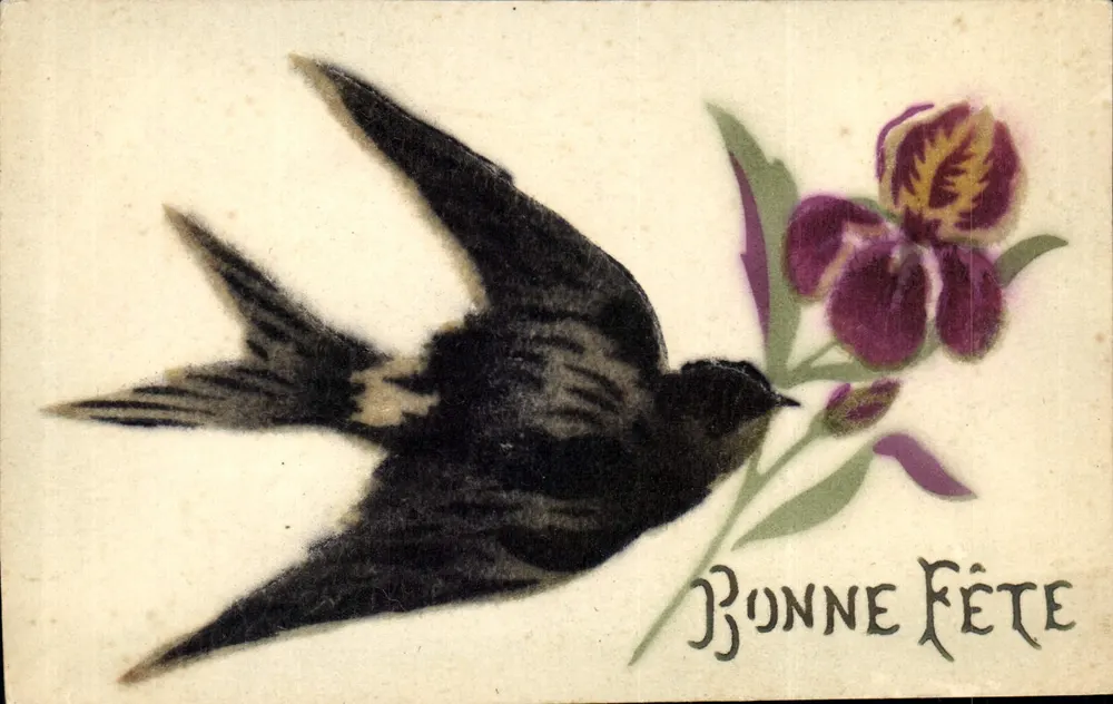 Oiseau et fleur — oiseau noir en vol près d'une iris violette — texte 'BONNE FÊTE' — éditeur non visible - Vorderseite