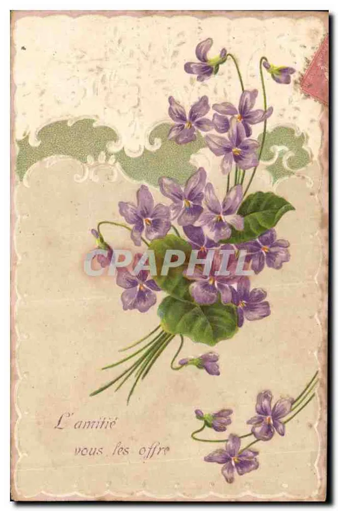Violetas — A amizade as oferece — sem editor nem número visível - Frente