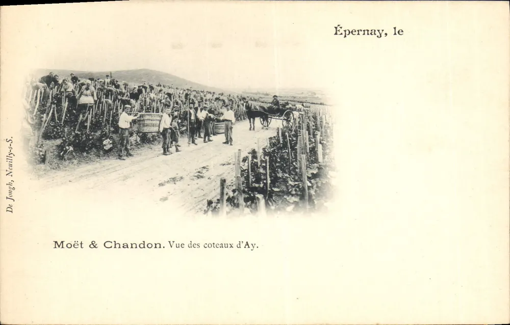 Épernay, Ansicht der Ay-Hügel — Moët & Chandon, De Jongh, Neuilly-s.-S. - Vorderseite