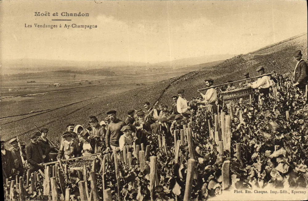 Die Weinlese in Ay-Champagne — Moët et Chandon — Foto. Em. Cheoque, Druck. Verlag, Epernay - Vorderseite