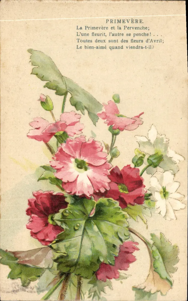 Primel und Mohnblume — Gedicht — R.F. Éditeurs, Paris, Serie 555 - Vorderseite