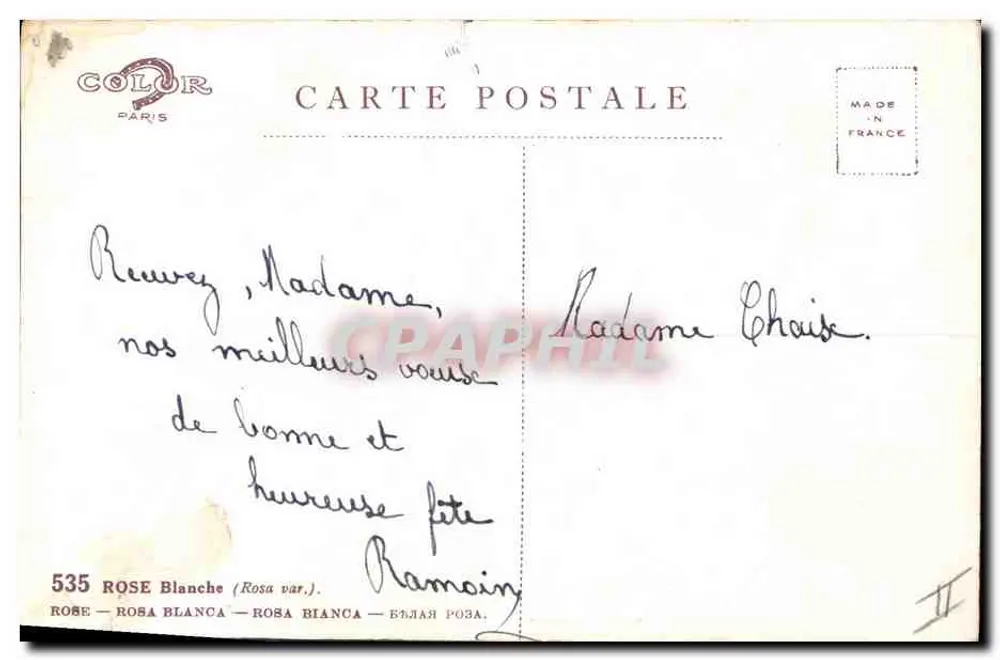 सफेद गुलाब — वैरिएटी रोज़ा वार. — एडिटर कलर पेरिस, नंबर 535 - पीछे
