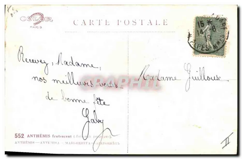 Arranjo de margaridas — editor Color, Paris — n° 552 - Verso