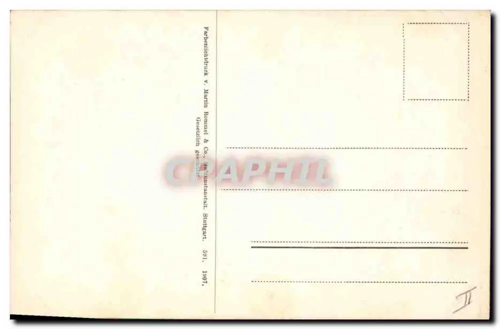 Planta com flores violetas — ilustração botânica — editor: P. B. v. Martin & Co., Stuttgart - Verso