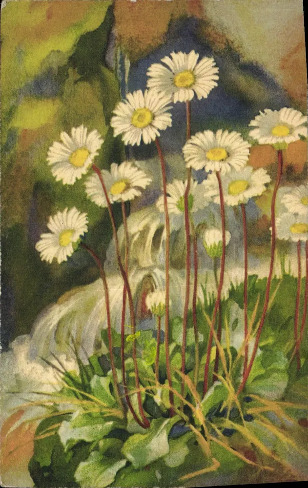 Flores de margaridas perto de uma cascata — ilustração — impressa na Suíça, n° 276 - Frente