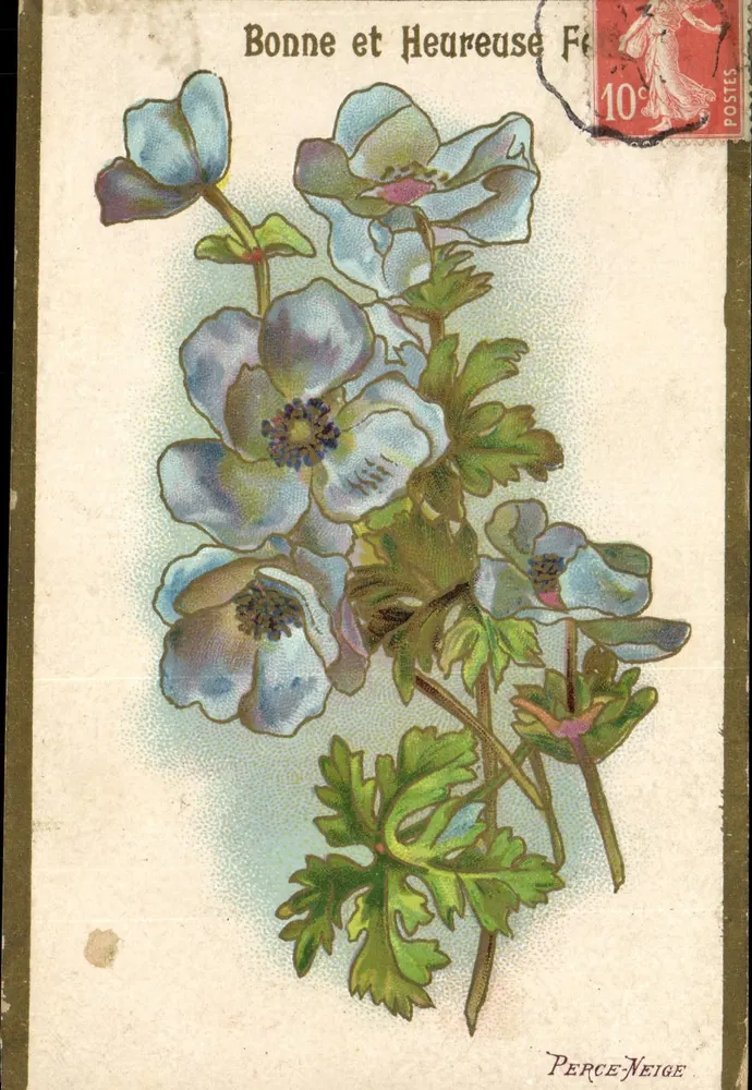 Flores de perce-neige — Bonne et Heureuse Fé — editor Perce-Neige - Frente