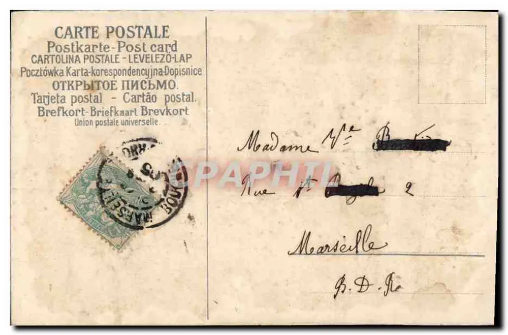 Flores azuis e rosas — Carta postal multilingue — editor LAP - Verso