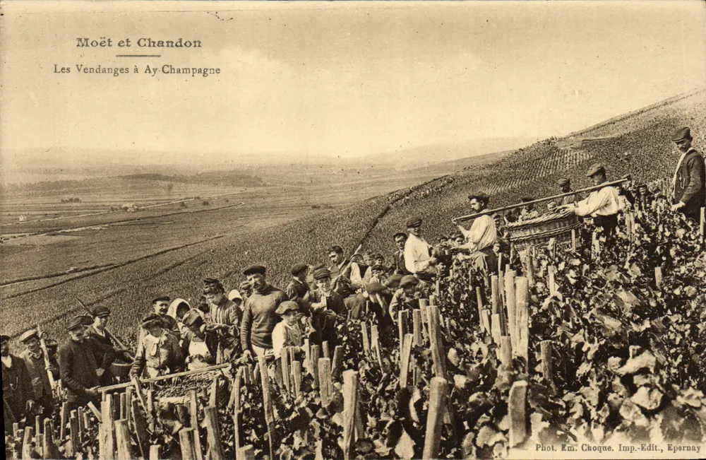 Die Weinlese in Ay-Champagne — Moët et Chandon — Foto. Em. Choque. Verlag-Drucker Epernay - Vorderseite
