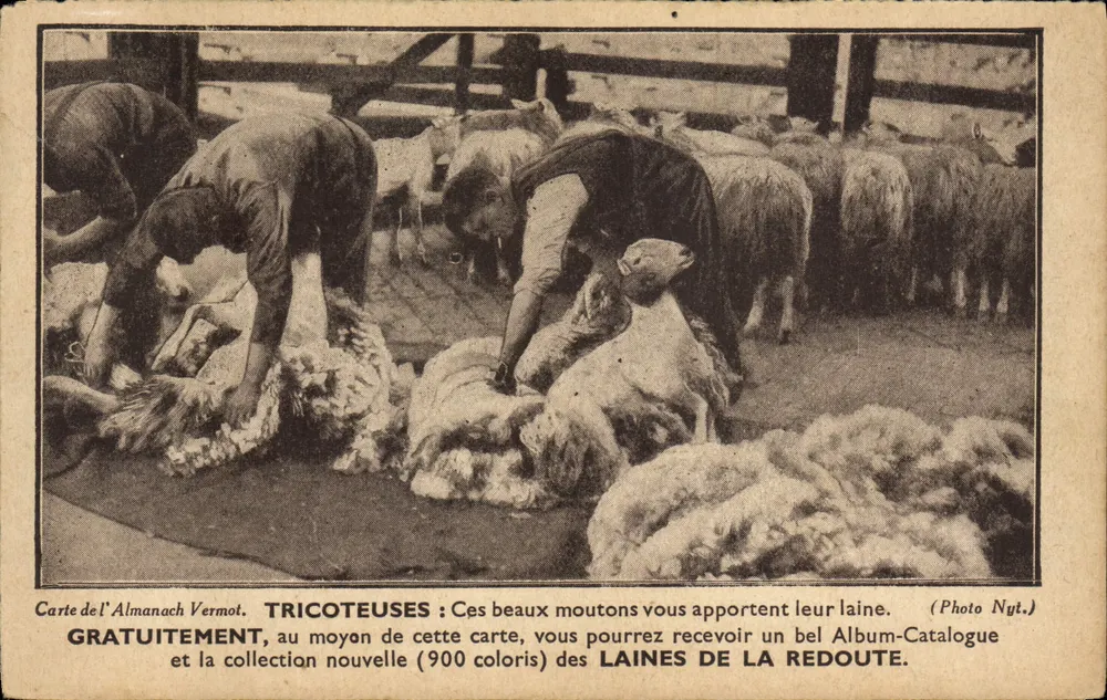 Tricoteuses : Ces beaux moutons vous apportent leur laine — Carte de l'Almanach Vermot, éditée par la Filatures de la Redoute, n° V.40 - Vorderseite