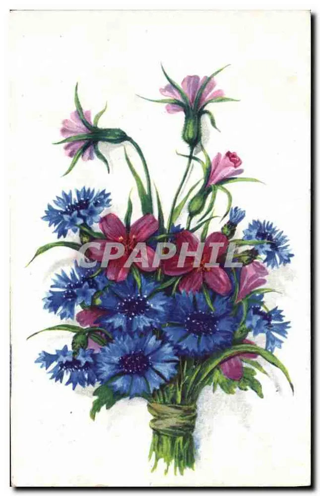 Bouquet de fleurs — Aquarelle — seria 4188, wydawca B. - Awers