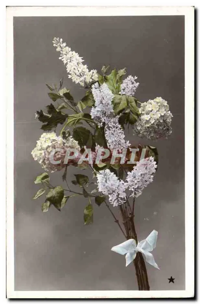 Bouquet van lilak en hortensia — uitgever VBC, serie N. 3372 - Voorkant